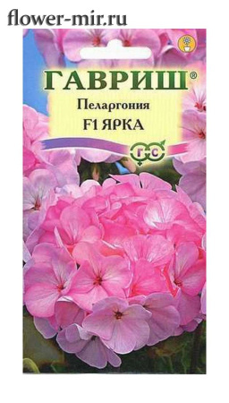 картинка Пеларгония, Ярка F1 (4шт.) Гавриш от магазина Сибдача